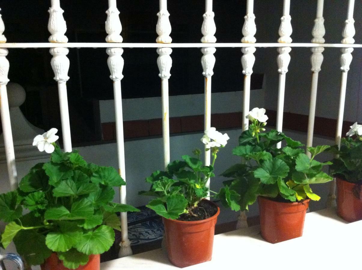 Atico Amistad Apartment Seville